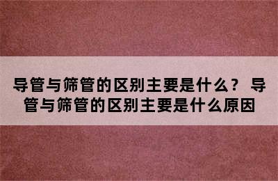 导管与筛管的区别主要是什么？ 导管与筛管的区别主要是什么原因